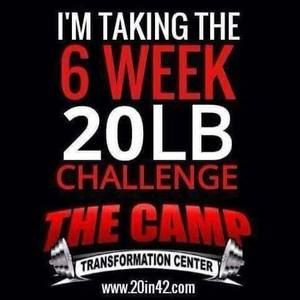 Meet your Posher, Daisy